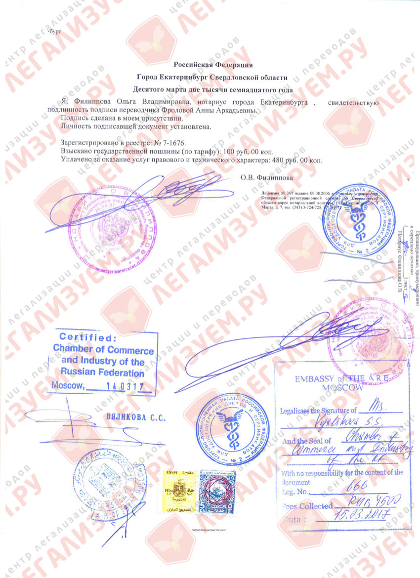 certificate-TPP-egypt
