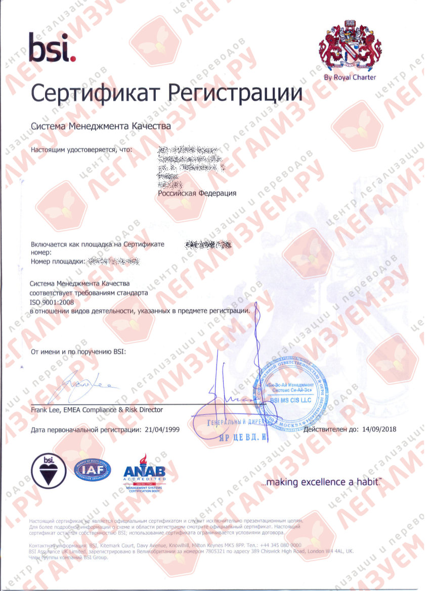 certificate-egypt-TPP