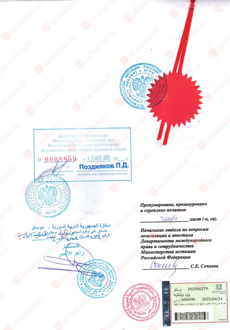 legalizatsiya-dlya-sirii